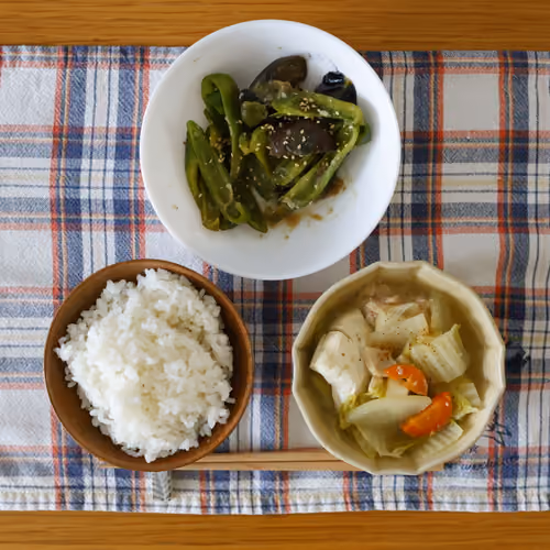 2026-09-08 の朝食（ごはん、ピーマンとナスの炒め物、白菜と豆腐の煮物）