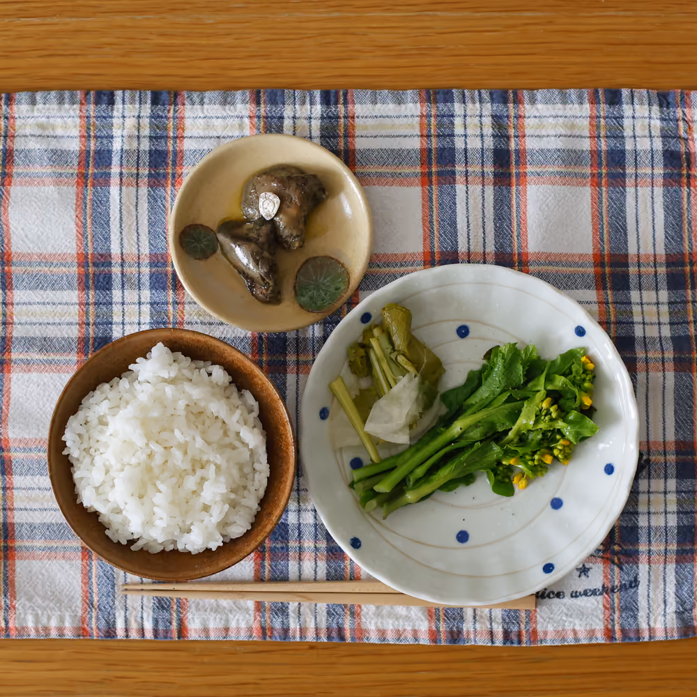 白ごはん、菜の花のおひたし、牡蠣のオイル漬け