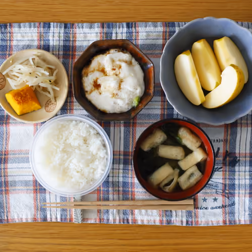 2026-06-05 の朝食（ごはん、油揚げとわかめの味噌汁、とろろ、もやしのナムル、かぼちゃの煮物、りんご）