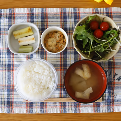 2026-04-16 の朝食（ごはん、味噌汁、納豆、サラダ、焼きねぎ）